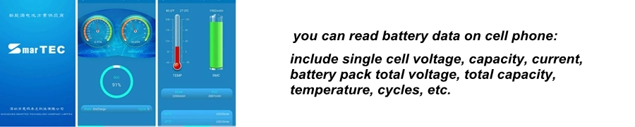 ODM&OEM LiFePO4 Battery 12V 100ah 200ah 300ah for Agv RV Marine Golf Cart Home Energy Solar Storage with Bluetooth APP &amp; Self-Heating